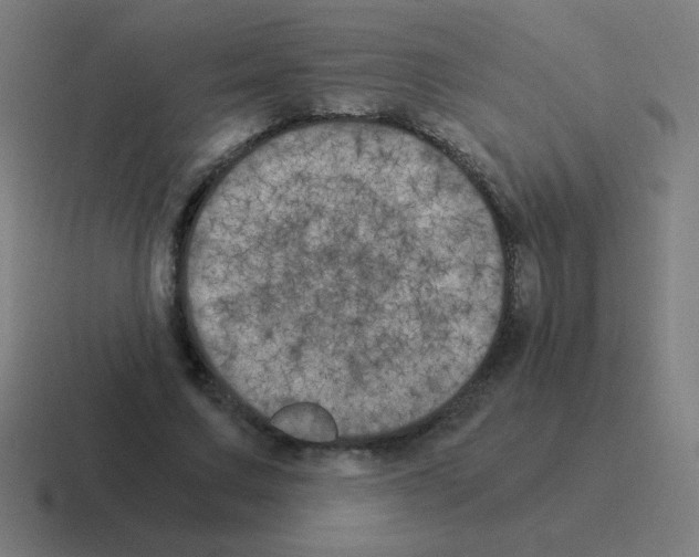 X0000116020683200912312153