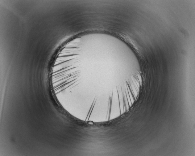 X0000116020684200912312153