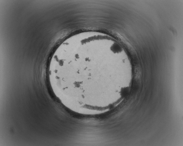 X0000116020685200912312153