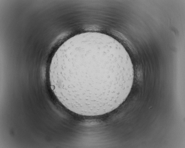 X0000116020686200912312153