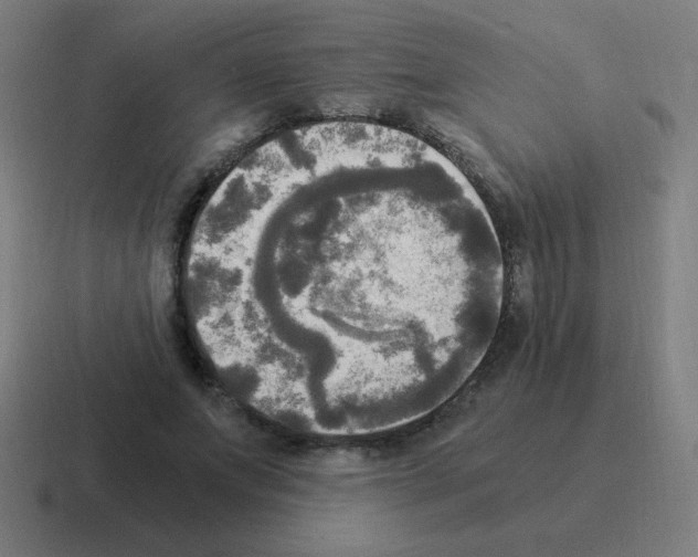 X0000116020687200912312153