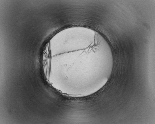 X0000116020688200912312153