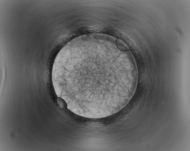 X0000116020689200912312153