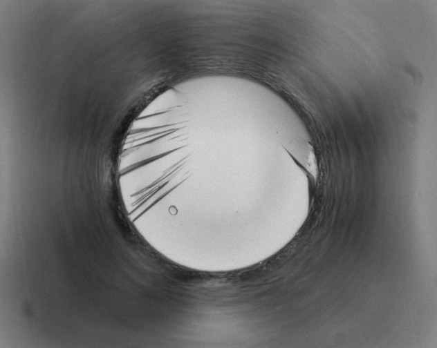 X0000116020692200912312153