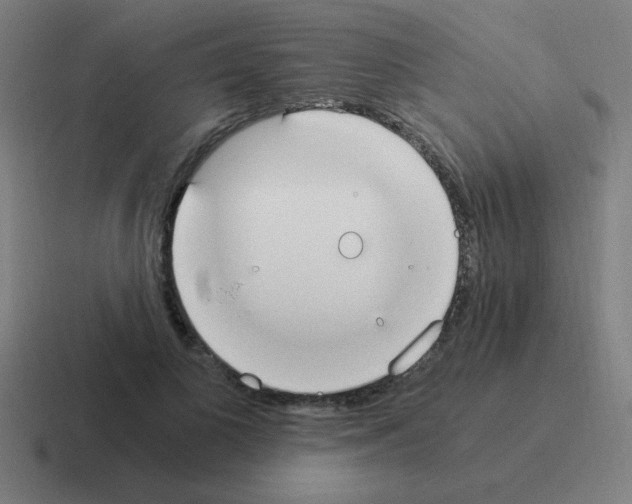 X0000116020693200912312153