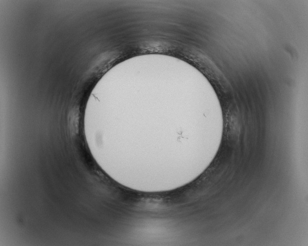 X0000116020694200912312153