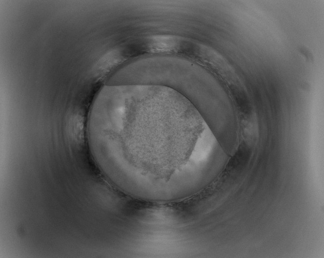 X0000116020696200912312153