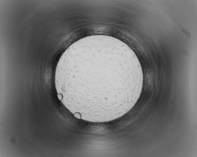 X0000116020698200912312153