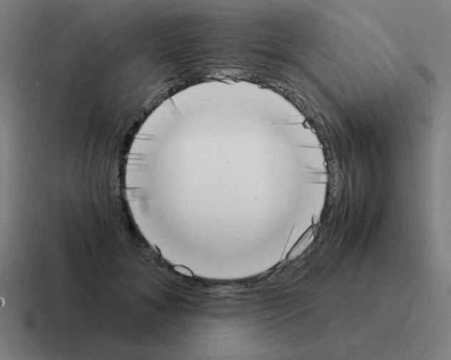 X0000116020700200912312153