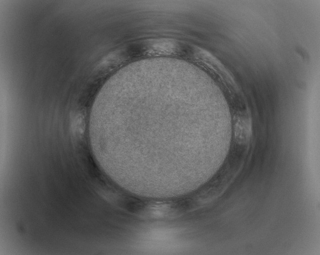 X0000116020701200912312153