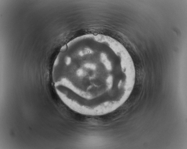 X0000116020703200912312153