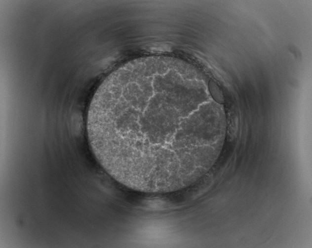 X0000116020704200912312153