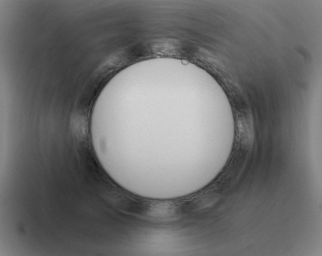 X0000116020705200912312153