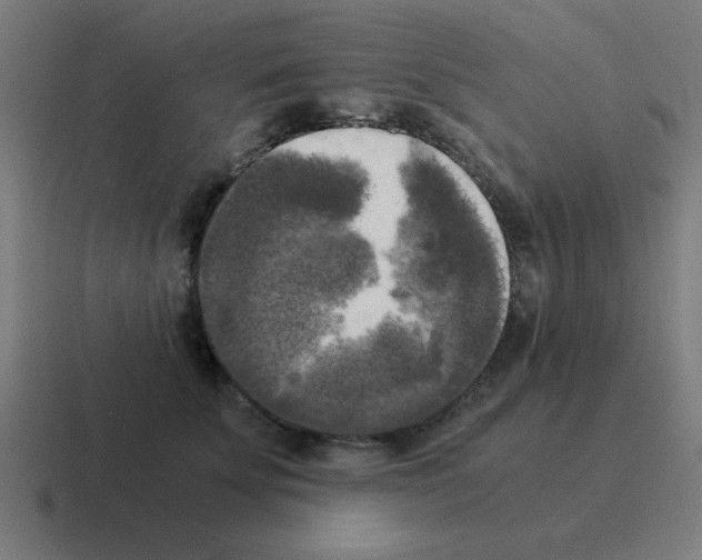 X0000116020707200912312153