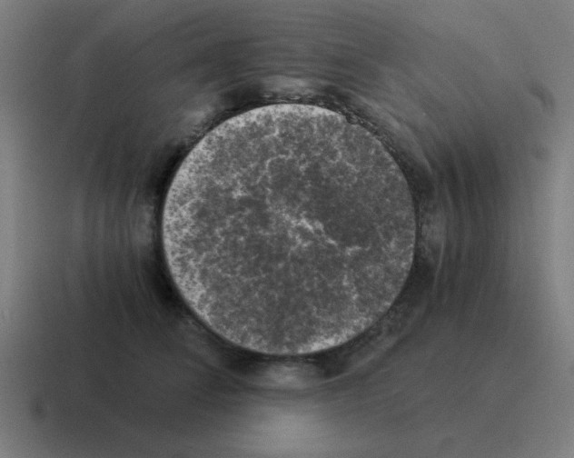 X0000116020708200912312153