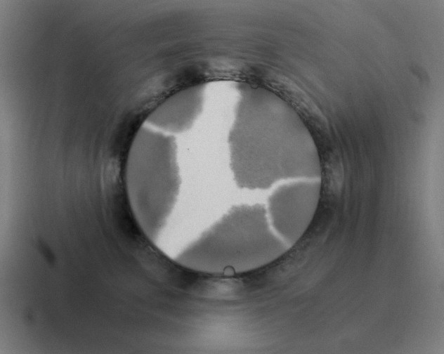 X0000116020711200912312153