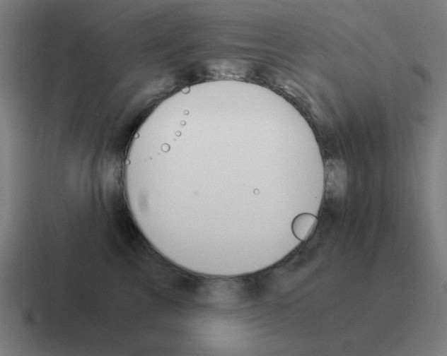 X0000116020713200912312153