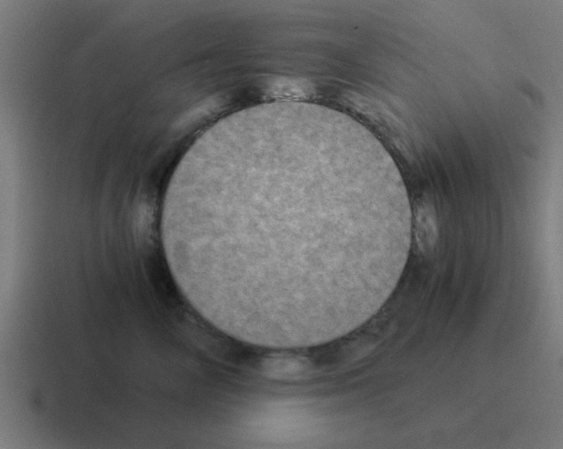 X0000116020714200912312153