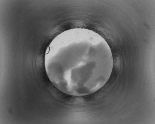 X0000116020715200912312153