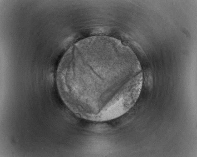 X0000116020716200912312153