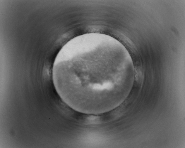 X0000116020718200912312153