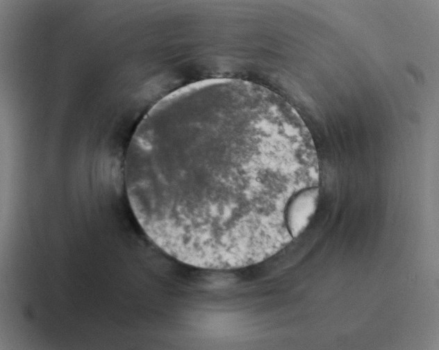 X0000116020719200912312153