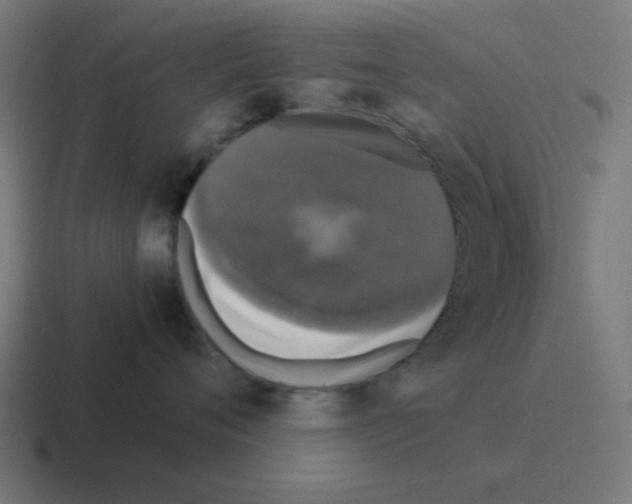 X0000116020720200912312153