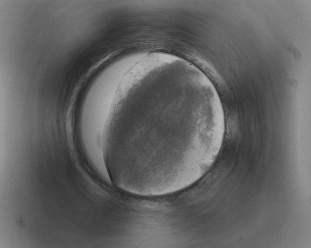 X0000116020722200912312152