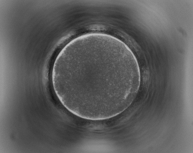 X0000116020727200912312152