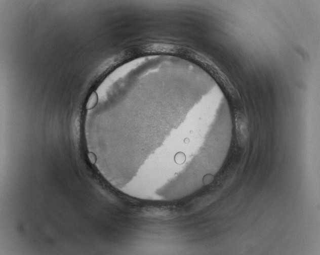 X0000116020729200912312152