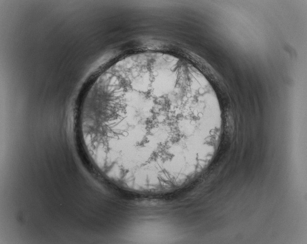 X0000116020730200912312152