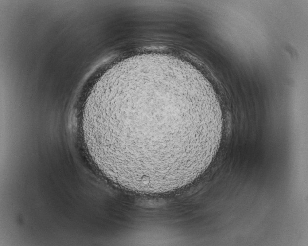 X0000116020731200912312152