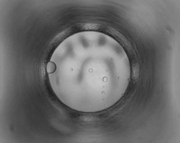 X0000116020733200912312152