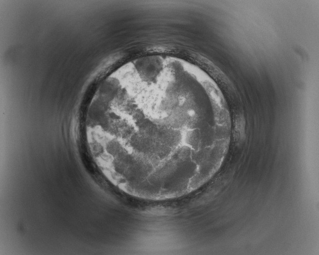 X0000116020734200912312152