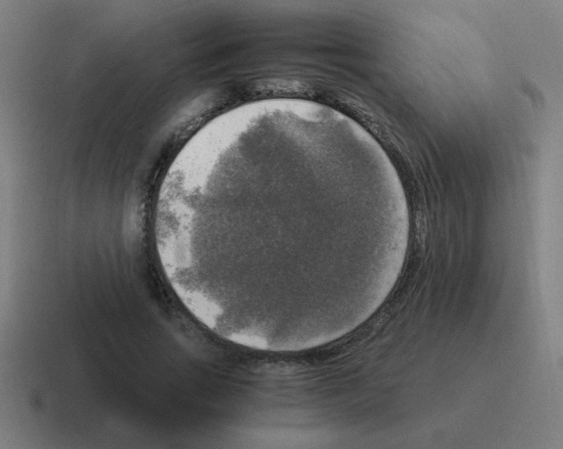 X0000116020735200912312152