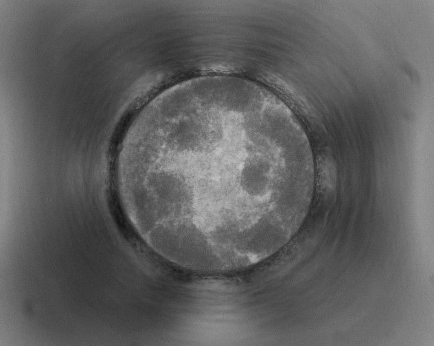 X0000116020738200912312152