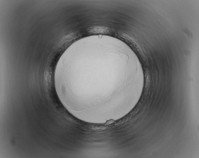 X0000116020739200912312152