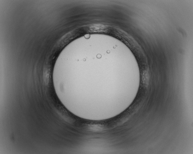 X0000116020741200912312152