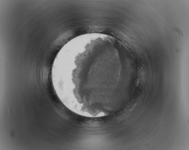 X0000116020742200912312152