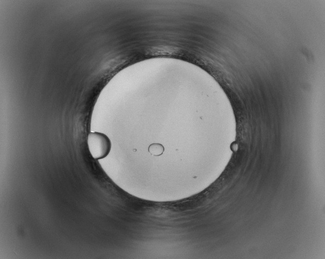 X0000116020743200912312152