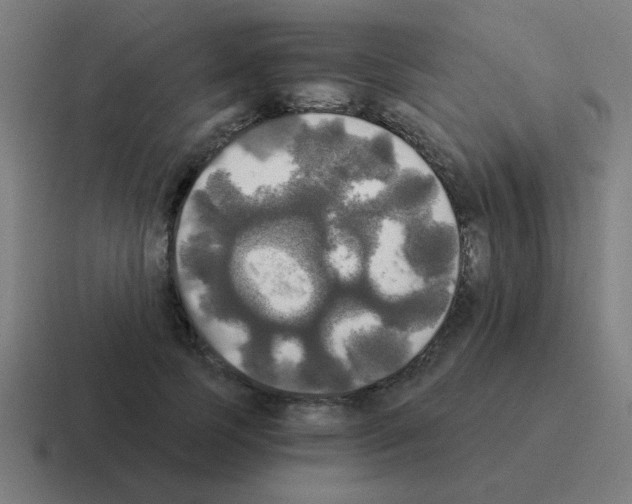 X0000116020745200912312152