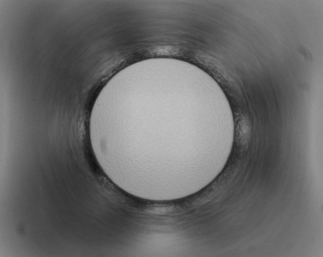 X0000116020746200912312152