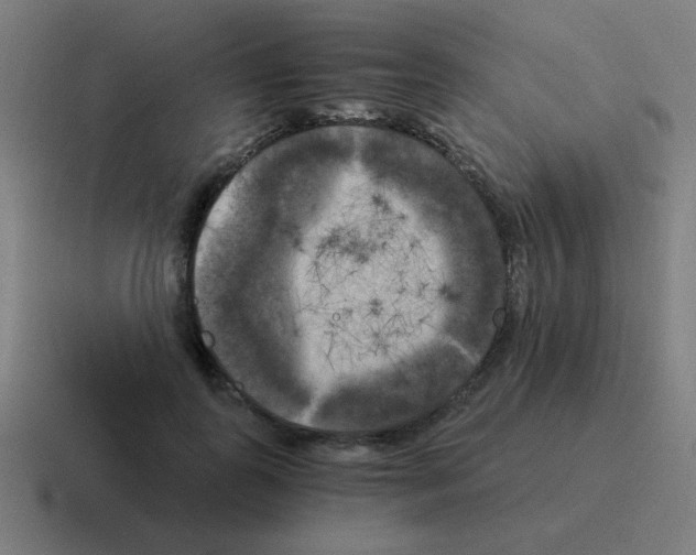 X0000116020747200912312152