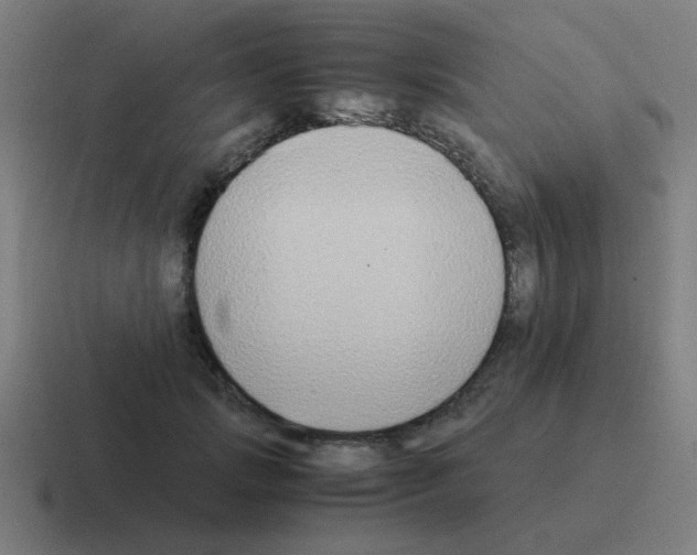 X0000116020749200912312152