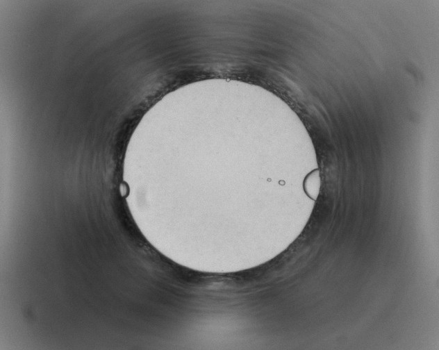 X0000116020750200912312152