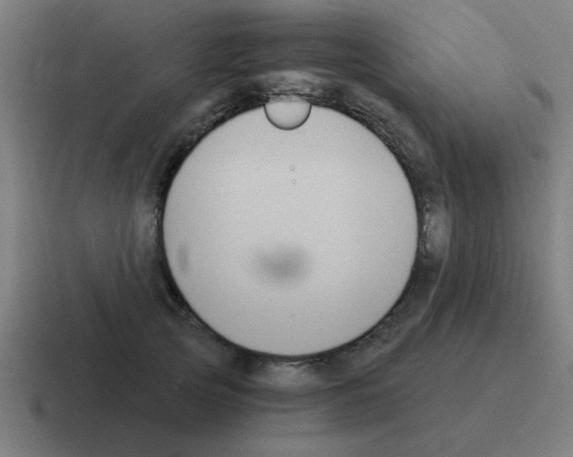 X0000116020753200912312152