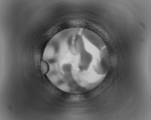 X0000116020757200912312153