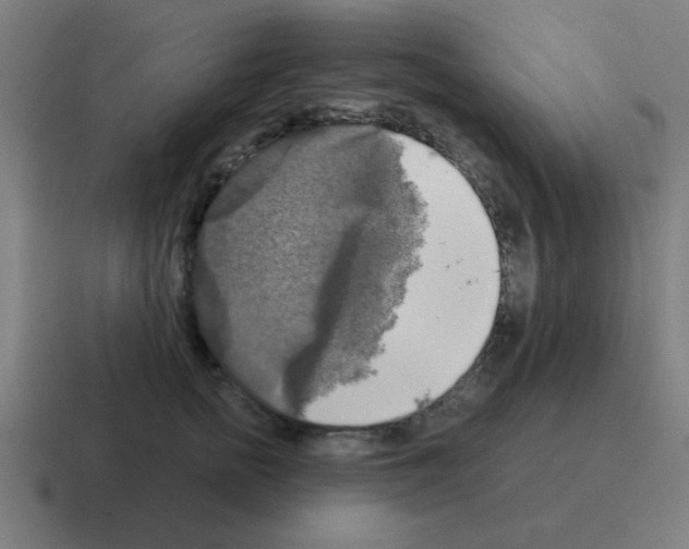 X0000116020758200912312153