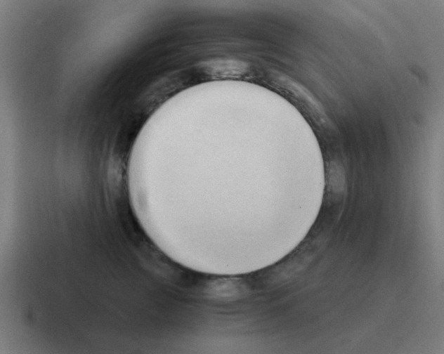 X0000116020761200912312153