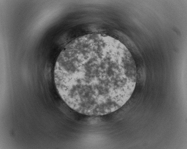 X0000116020762200912312153